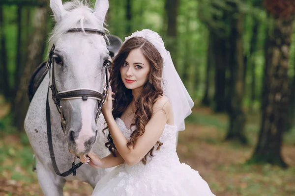Bride with horse — Stock Photo, Image