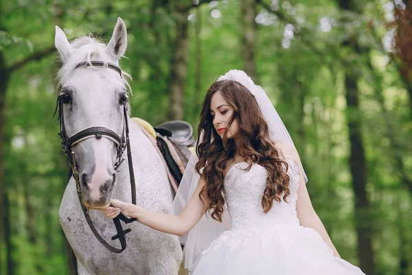 Bruid met paard — Stockfoto