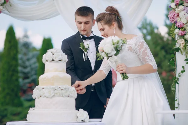 Paar mit Hochzeitstorte — Stockfoto