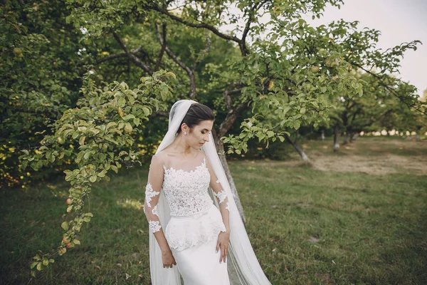 Novia vestida de blanco — Stockfoto