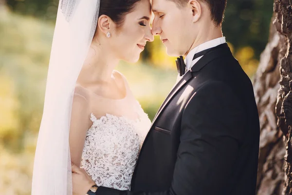 Bride and groom — Stock Photo, Image