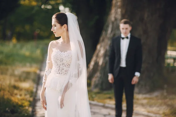 Bride and groom — Stock Photo, Image