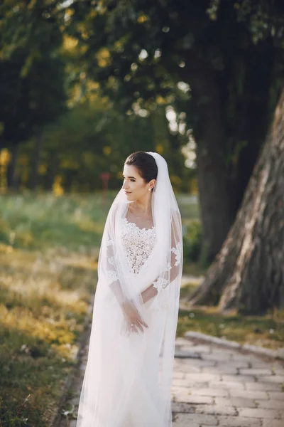 Novia en vestido blanco — Foto de Stock