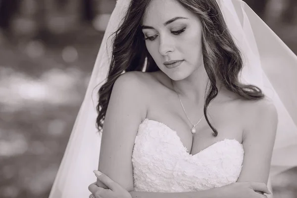 Bride in the forest — Stock Photo, Image