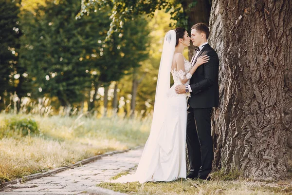 Novia y novio — Foto de Stock