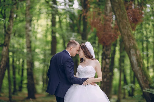 Couple in love — Stock Photo, Image