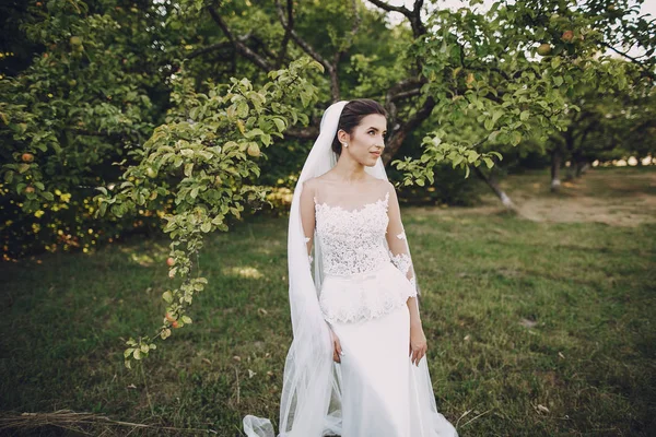 Beyaz elbisesi içinde gelin