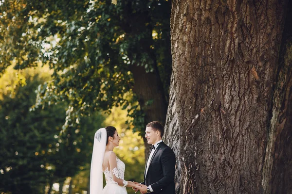 Gelin damat — Stok fotoğraf