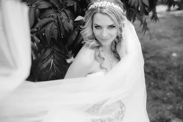 Bride in the Park — Stock Photo, Image