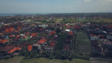 pirinç tarlaları Bali görünümünü