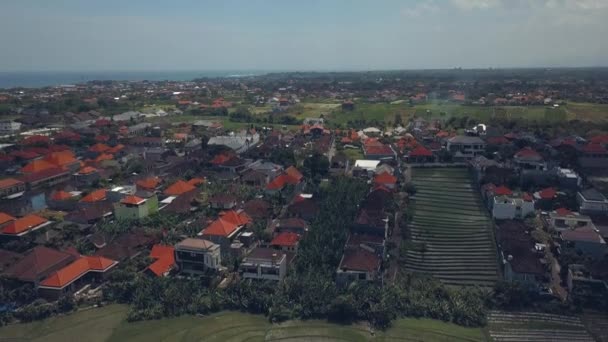 Вид на рисові поля в Балі — стокове відео