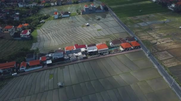 Vista de campos de arroz en Bali — Vídeos de Stock