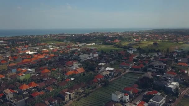 Pirinç tarlaları Bali görünümünü — Stok video