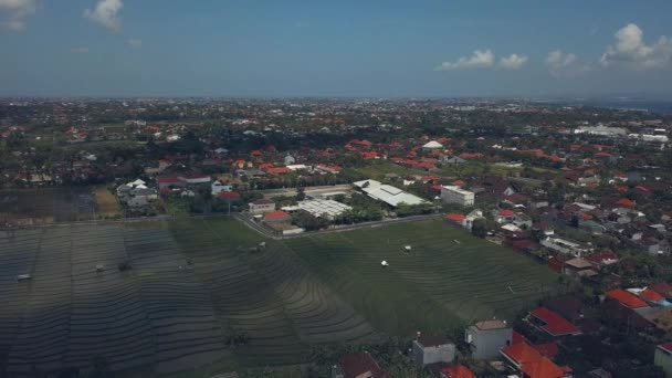 Вид на рисові поля в Балі — стокове відео