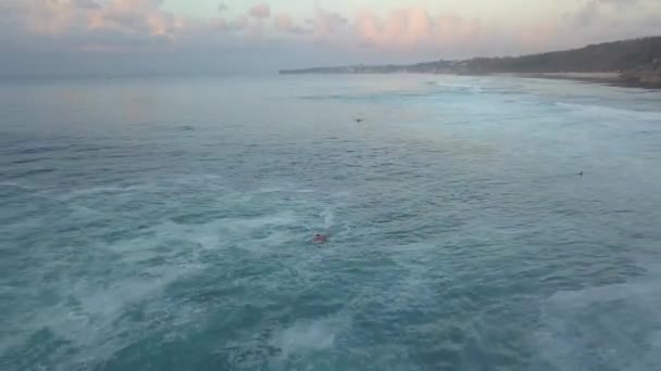 Surfistas en el océano — Vídeo de stock