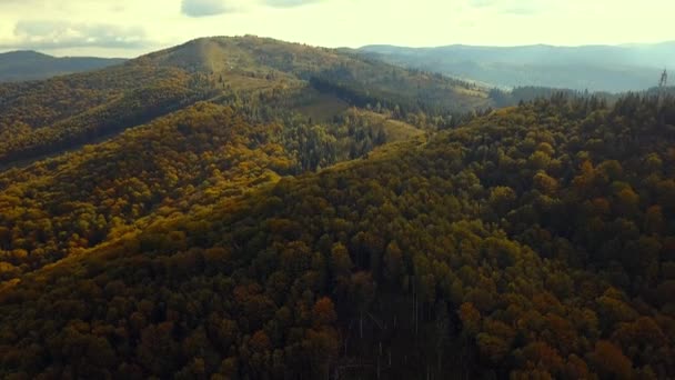 Green mountians in the fall — Stock Video