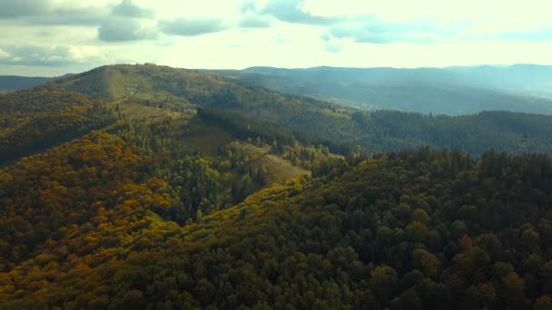 Green mountians in the fall — Stock Video