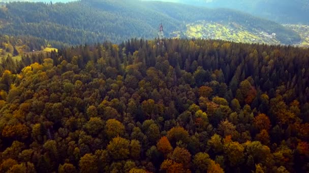 Montes verdes en el otoño — Vídeo de stock