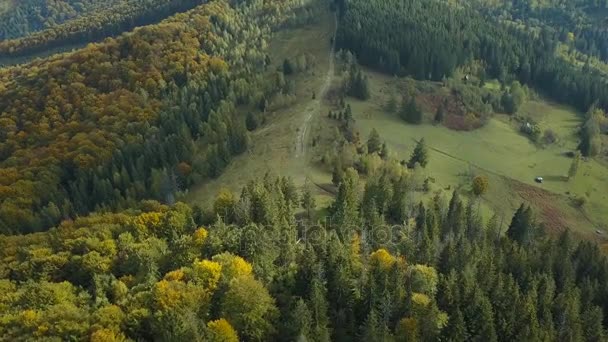 Montes verdes en el otoño — Vídeo de stock