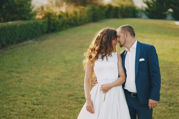 Grooms in nature — Stock Photo, Image