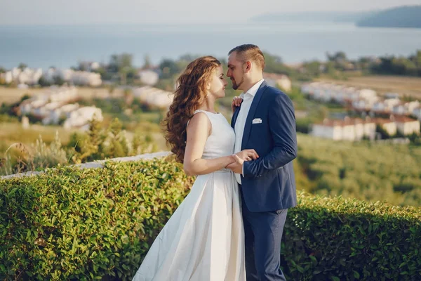 Novios en la naturaleza —  Fotos de Stock