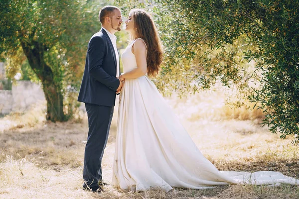 Grooms in nature — Stock Photo, Image