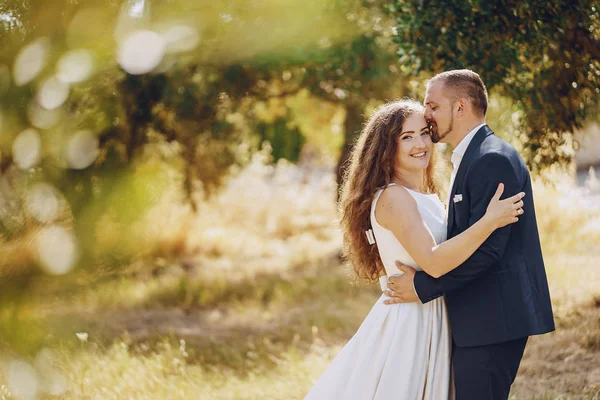 Grooms in nature — Stock Photo, Image