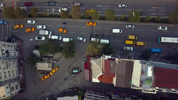 Lebendige istanbul Truthahn an einem sonnigen Tag — Stockfoto