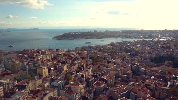 Animado pavo de Estambul en un día soleado — Vídeo de stock