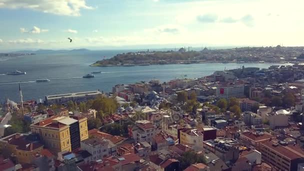 Dinde istanbul animée par une journée ensoleillée — Video