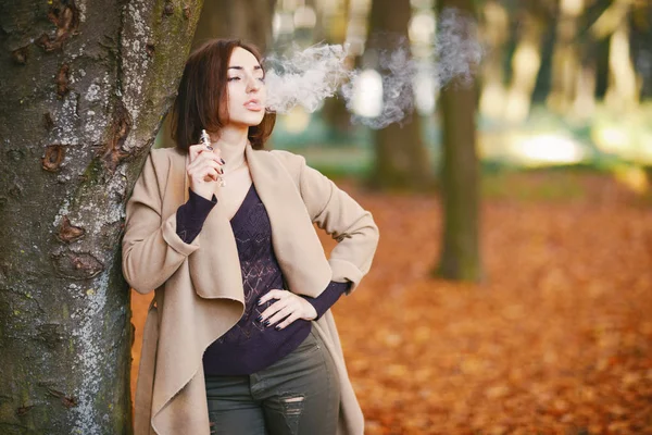 Girl in the autumn park — Stock Photo, Image