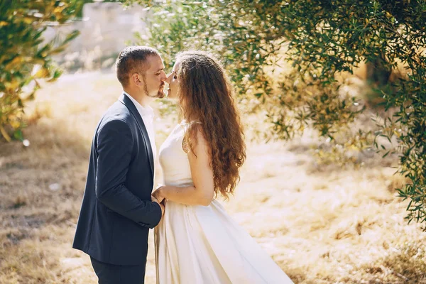 Novios en la naturaleza —  Fotos de Stock