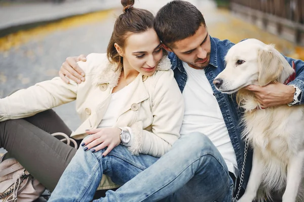 Çiftler güneşli bir sonbahar gününde köpeklerini gezdirirler.