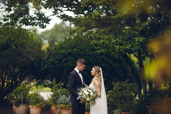 Elegante coppia di nozze — Foto Stock