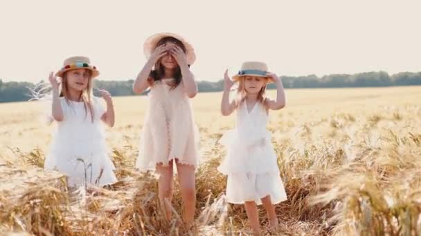 Meninas em chapéus de palha no campo de trigo no verão — Vídeo de Stock