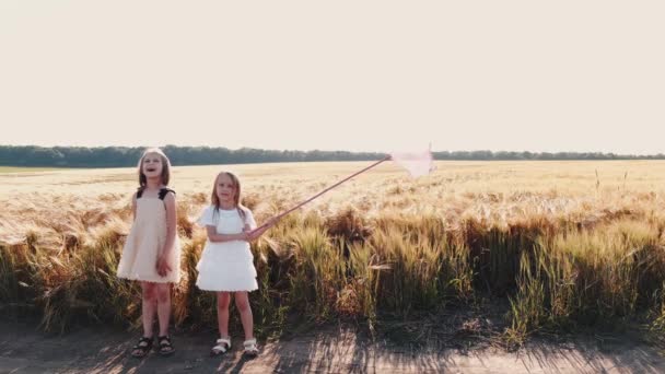 Девочки с сеткой для бабочек охотятся на пшеничном поле — стоковое видео