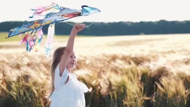 Buğday tarlasında uçurtma tutan küçük kızın portresi — Stok video