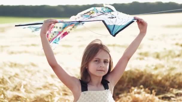 Retrato de niña sosteniendo cometa en el campo de trigo — Vídeos de Stock