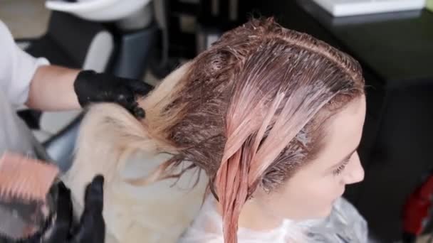 Fechar o processo de tingir o cabelo pelo cabeleireiro no salão de beleza — Vídeo de Stock