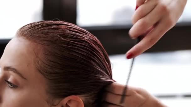 Stylist fésülködés ügyfelek haját szárítás előtt szépségszalonban — Stock videók