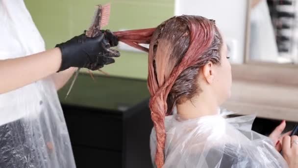 Fechar o processo de tingir o cabelo pelo cabeleireiro no salão de beleza — Vídeo de Stock