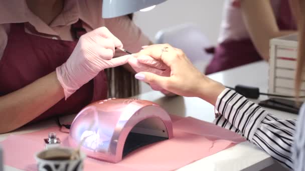 Manicurista cubre las uñas con gel en salón de belleza — Vídeos de Stock