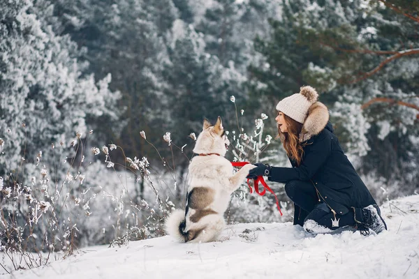 Beautiful woman playing with a dog — Stock Photo, Image