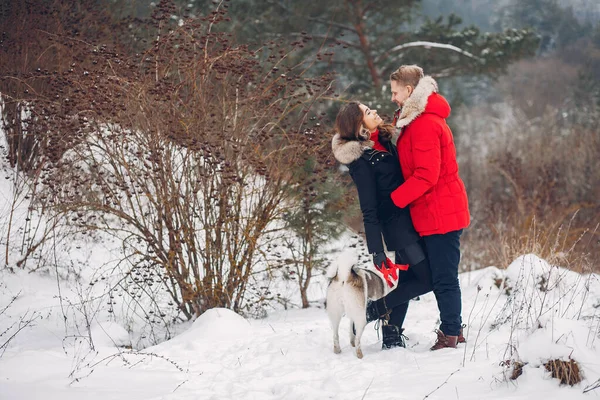 犬と遊ぶ美しいカップル — ストック写真
