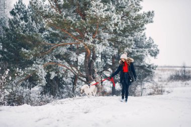 Güzel kadın bir köpekle oynamayı