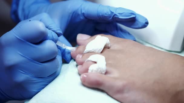 El maestro de uñas está puliendo los dedos de los pies por el esmalte de uñas de gel transparente — Vídeo de stock