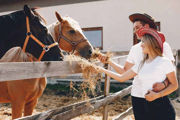 Mooi paartijd doorbrengen met een paarden — Stockfoto