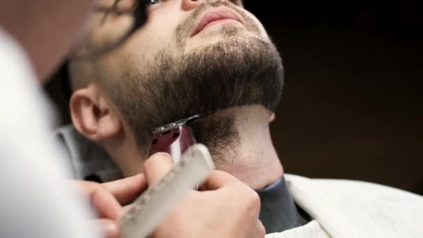 Closeup of process of cutting clients beard by barber in barbershop — 비디오