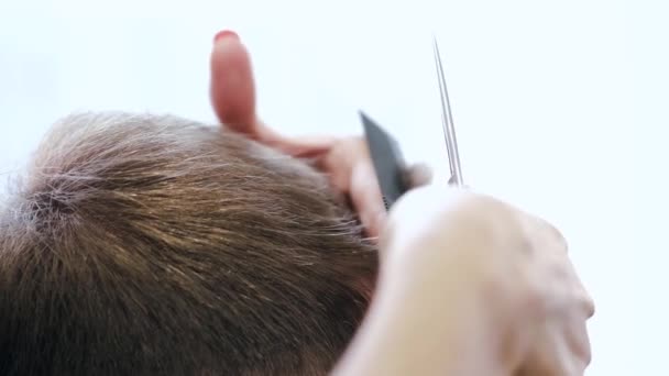 Закрытие процесса обрезки волос ножницами в салоне красоты — стоковое видео