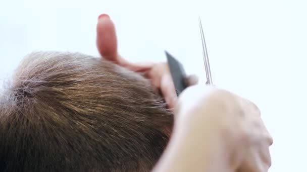 Fechar-se de processo de cortar o cabelo com a tesoura no salão de beleza — Vídeo de Stock